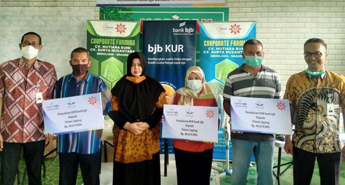 bank bjb Salurkan KUR kepada Petani di Majalengka