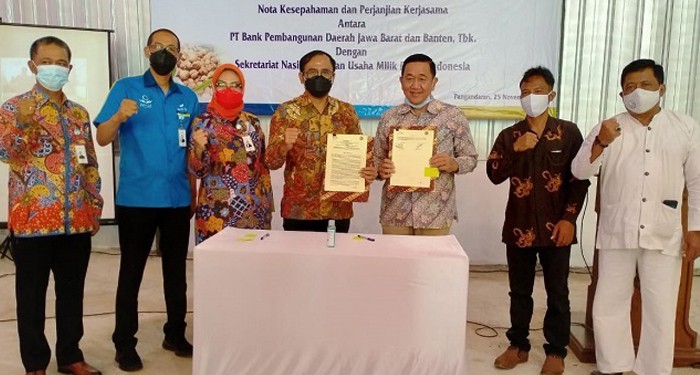 Stimulasi Usaha Tani bank bjb Siapkan Kapulaga Dongkrak Perekonomian Pangandaran