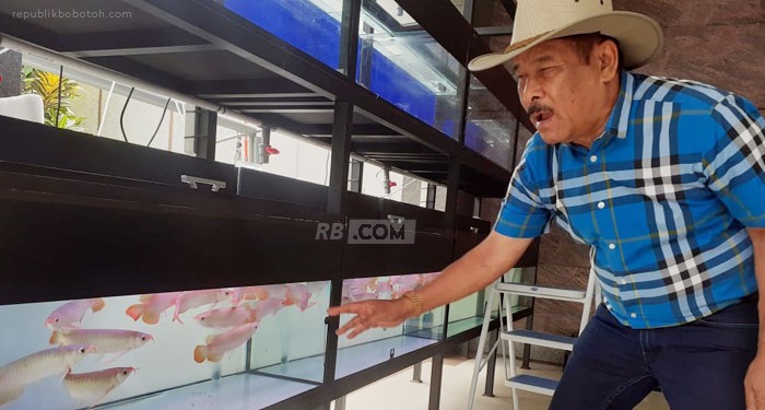 Gegara Cucu, Umuh Muchtar Buka Bisnis Baru Arwana Super Red