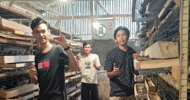 Jabar Gulirkan Program Magang Petani Milenial Ternak Puyuh
