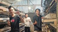 Jabar Gulirkan Program Magang Petani Milenial Ternak Puyuh
