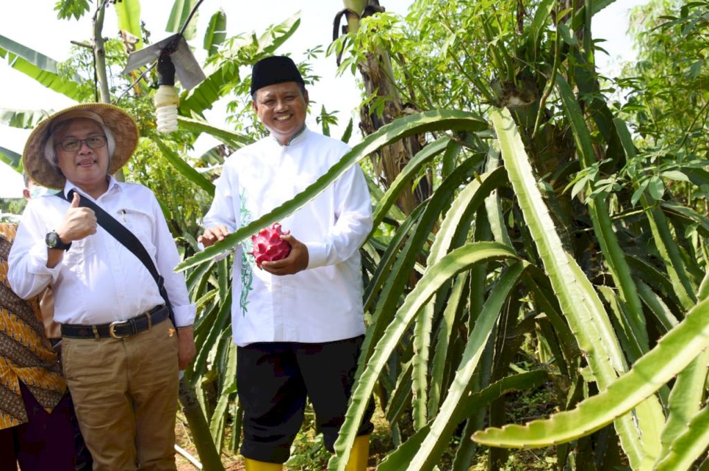 Optimalkan Potensi, Teknologi Dorong Produktivitas Pertanian Jabar
