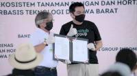 Sebanyak 428 Petani Milenial Garap Komoditas Tanaman Hias dan Ubi Jalar