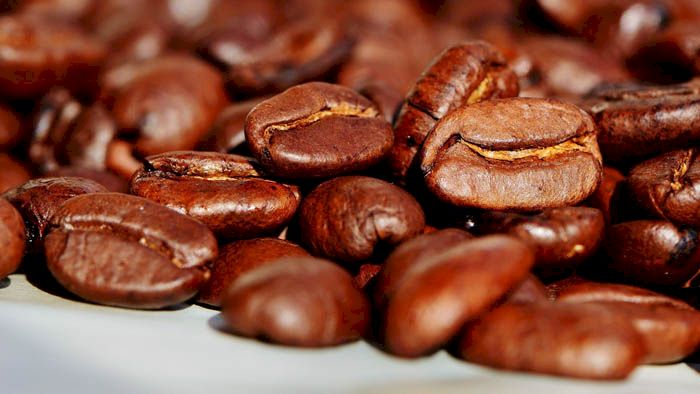 Kecanduan! Pemain Jepang Ini Sebut Kopi Aceh Terbaik di Dunia
